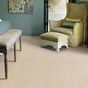 Caress Carpet by Shaw in Metairie, LA